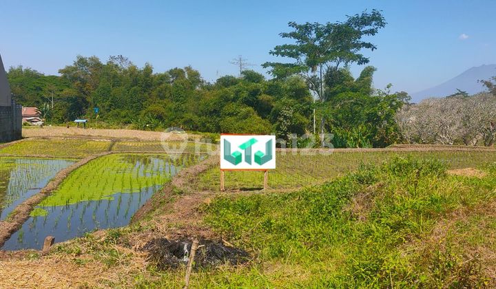 Dijual Tanah SHM Luas - Malangpurwosari, Kec. Singosari - Malang Dijual Tanah SHM Luas - Malangpurwosari, Kec. Singosari - Malang