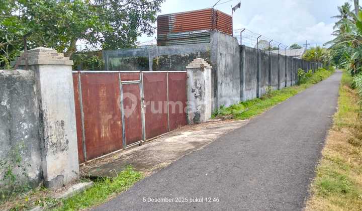 Dijual Via Lelang Tanah Mumbulsari Jember