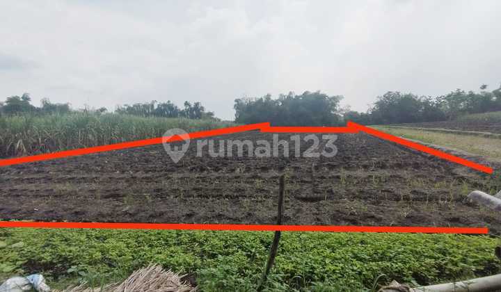 Dijual Via Lelang Tanah Desa Mojodowo Kemlagi Mojokerto