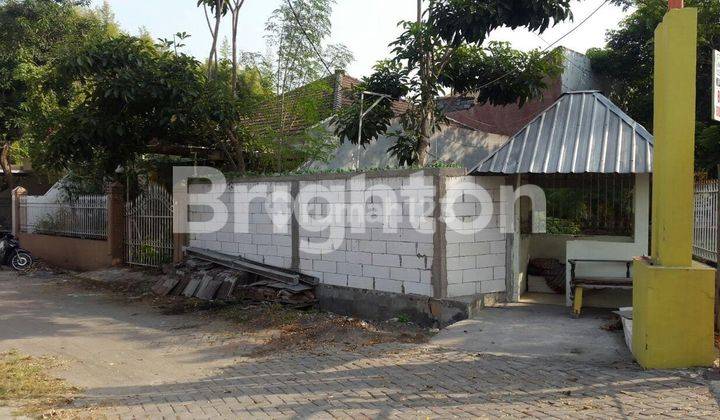 RUMAH HITUNG TANAH MURAH DI KLAMPIS SEMOLO TIMUR SURABAYA 1