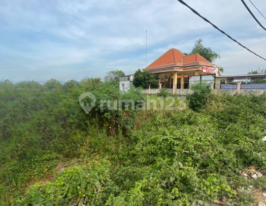 DIJUAL TANAH Jl Geger Kec Cerme Kab Gresik - Jawa Timur DIJUAL TANAH Jl Geger Kec Cerme Kab Gresik - Jawa Timur