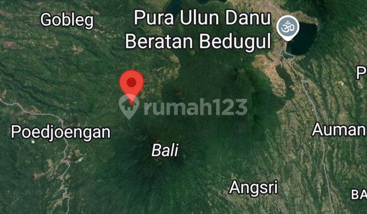 Productive Farm 4ha Mountain & Sea View In Gesing Buleleng Productive Farm 4ha Mountain & Sea View In Gesing Buleleng