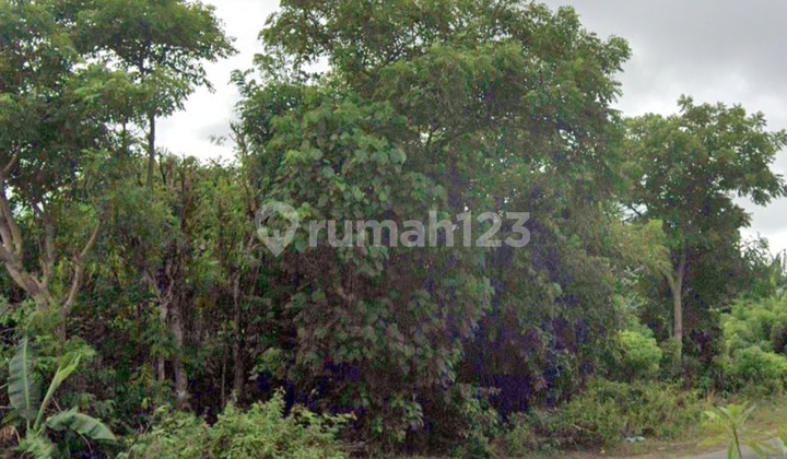 Tanah Premium 1000m² Di Jalan Utama Pantai Pandawa, Bali