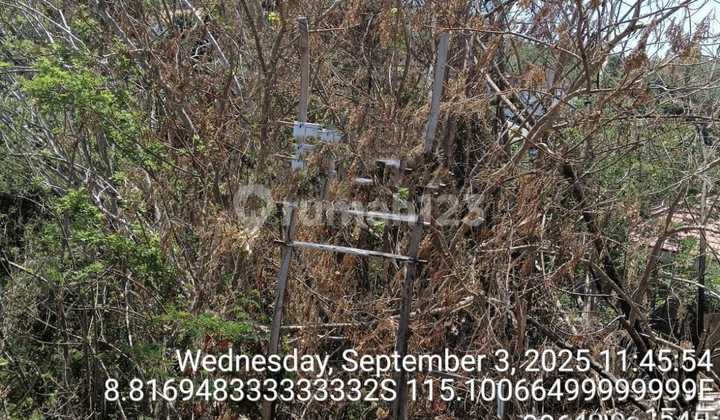 Tanah 10are Di Pecatu Disewakan Jangka Panjang