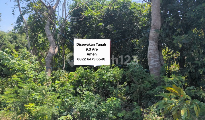 Premium Land 930m² on Bypass Pandawa, Near Pandawa Beach Premium Land 930m² on Bypass Pandawa, Near Pandawa Beach