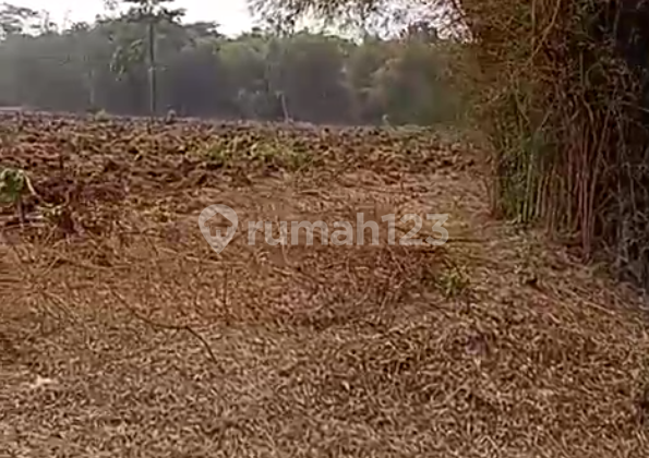 Dijual Tanah Kosong Dekat BSD (Bisa ijin Rumah Duka/Kremasi) Tangerang Dijual Tanah Kosong Dekat BSD (Bisa ijin Rumah Duka/Kremasi) Tangerang