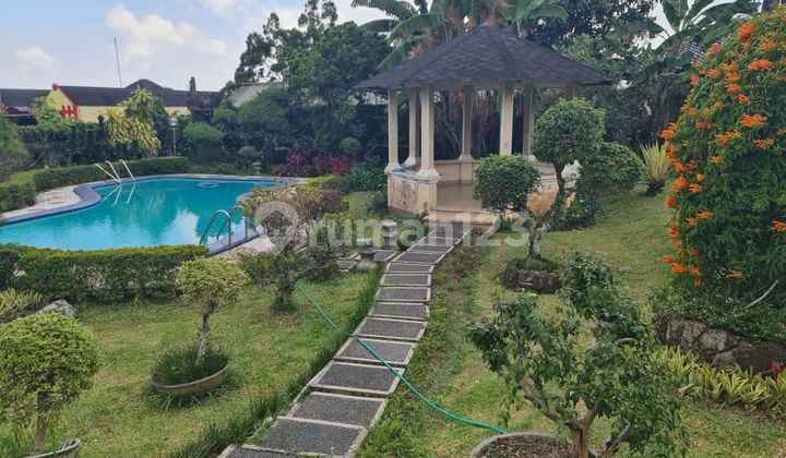 Villa for Sale in Puncak Fully Furnished Near Grand Asto Puncak Cipanas West Java