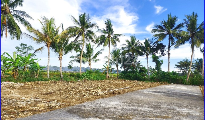 Tawangsari Pengasih, Rumah Model Bali Style Type 50 Dekat UNY Wates Tawangsari Pengasih, Rumah Model Bali Style Type 50 Dekat UNY Wates