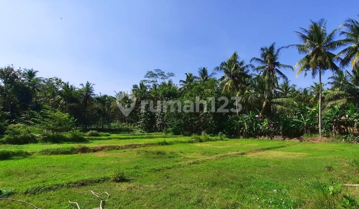 5 menit Exit Tol Sentolo Tanah Yogyakarta di Nanggulan Kulon Progo