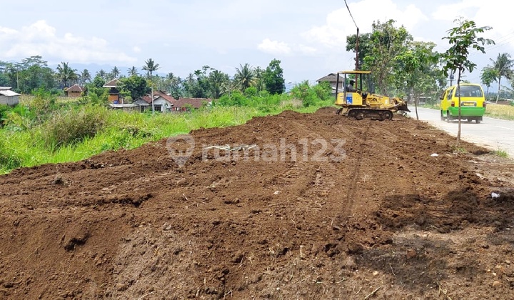Cheap Land 7 Minutes to Palbapang Toll Gate Magelang, SHM Certificate Cheap Land 7 Minutes to Palbapang Toll Gate Magelang, SHM Certificate