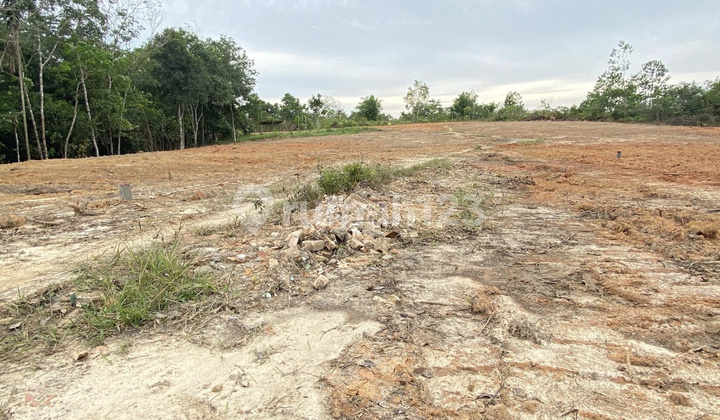 Jual Tanah Belakang Kampus Uin Mendalo