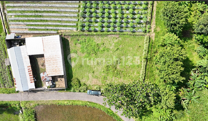 Affordable Land Palagan Asri Ngaglik with SHM