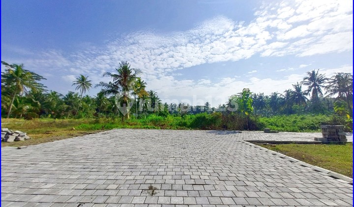 Tawangsari Pengasih Iklan Rumah Jogja Classic Dekat Terminal Wates Tawangsari Pengasih Iklan Rumah Jogja Classic Dekat Terminal Wates