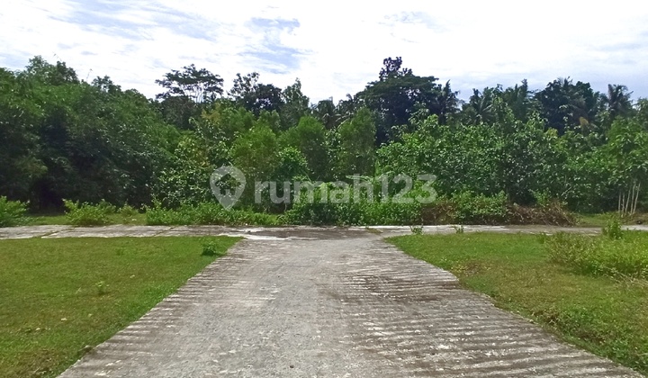 Near YIA Airport, Gotakan Kulon Progo Road Land Suitable for Homes