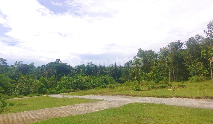 Near YIA Airport, Gotakan Kulon Progo Road Land Suitable for Homes