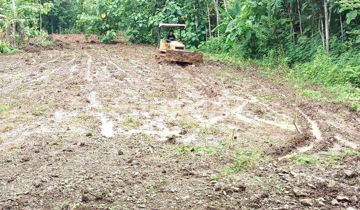 Near Imogiri Police Station, Land for Sale in Jogja, Bantul