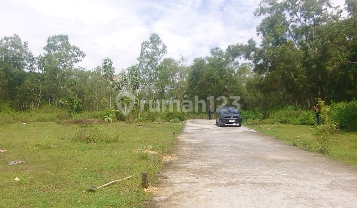 Jual Tanah Jl. Gotakan Kulon Progo Dekat Exit Tol Wates-Jogja 