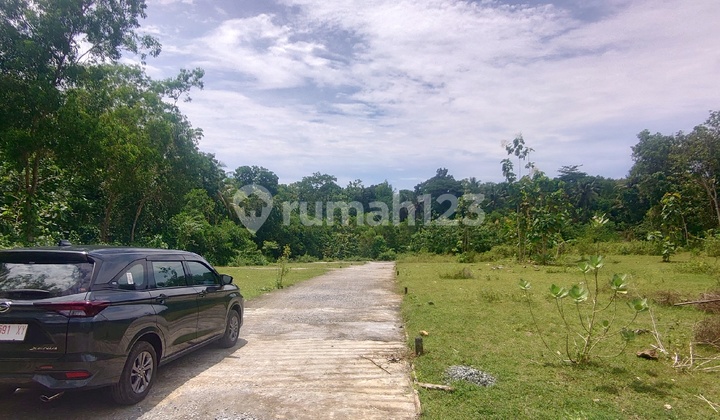 Jual Tanah Jl. Gotakan Kulon Progo Dekat Exit Tol Wates-Jogja 