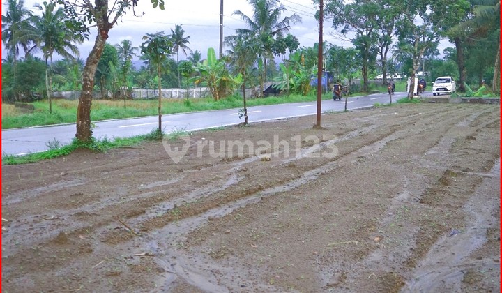 Sawangan Magelang, Roadside Land Blabak-Mungkid, Secure Legality Sawangan Magelang, Roadside Land Blabak-Mungkid, Secure Legality