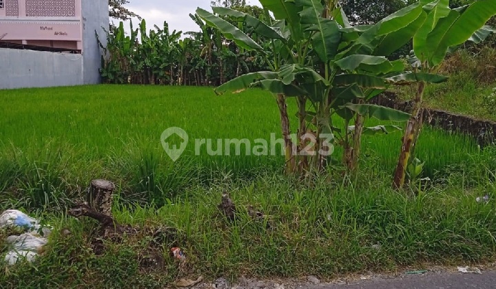 900 Meter Rumah Sakit UAD Tanah Cantik Maguwoharjo Sleman Untuk Rumah