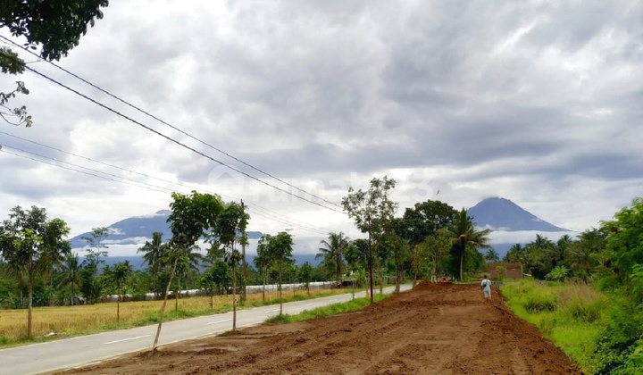 Cheap Land 7 Minutes to Palbapang Toll Gate Magelang, SHM Certificate Cheap Land 7 Minutes to Palbapang Toll Gate Magelang, SHM Certificate