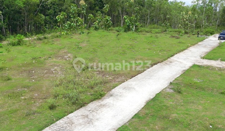 Jl. Nagung-Brosot Kulon Progo, Yogyakarta House for Sale Near UNY Wates