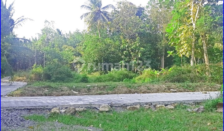 Kulon Progo, Rumah Jogja Model Bali Style Type 50 Dekat Alun-alun Wates 2