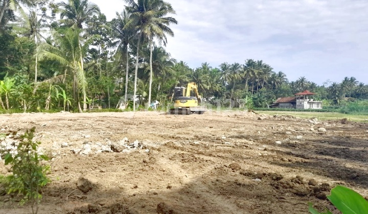 Jl. Nasional Kulon Progo, Rumah Jogja SHM Pekarangan Dekat Bandara YIA