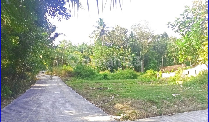 Jl. Gotakan Panjatan, Rumah Jogja SHM Pekarangan Dekat Bandara YIA 2