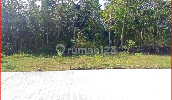 Near Kulon Progo Police Station Panjatan, Yogyakarta Land Ready for Name Transfer