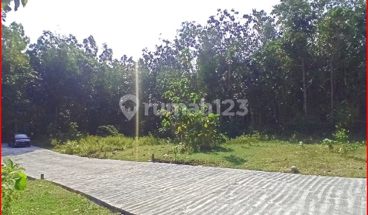 Near Kulon Progo Police Station Panjatan, Yogyakarta Land Ready for Name Transfer