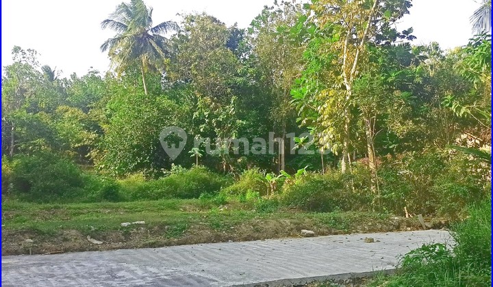 Jl. Gotakan Panjatan, Jual Rumah Jogja Dekat Pintu Tol Wates-Jogja 2