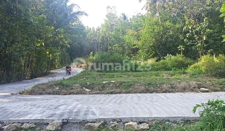 For Sale Land on Jl. Nagung-Brosot Kulon Progo Near YIA Airport