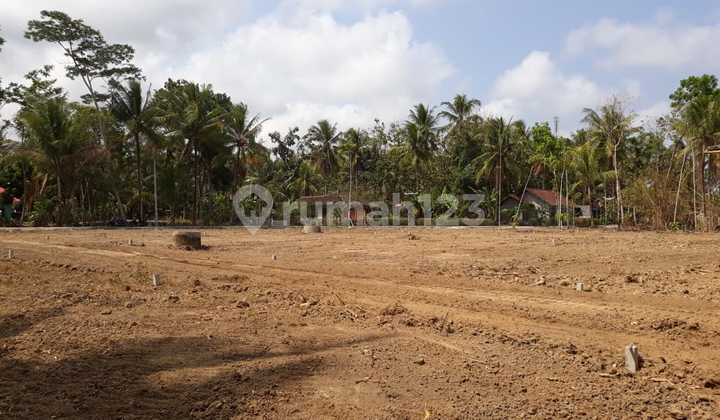 Affordable Plot, SHM Ready to Build in Moyudan Sleman Affordable Plot, SHM Ready to Build in Moyudan Sleman