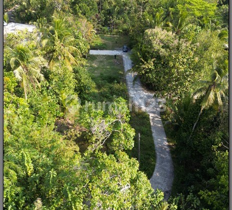 Tanah Murah Kulonprogo, 2 Km SMK N 1 Panjatan, dekat jalan Raya Brosot, Jogja