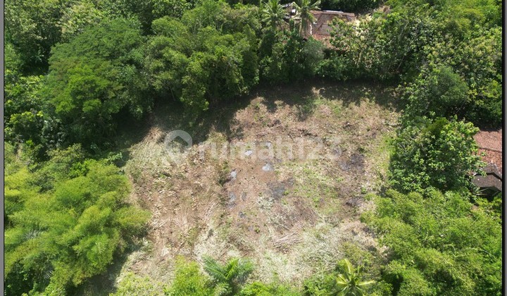 Kavling 100 Jtan di Moyudan Sleman, Mobil papasan, SHM Pekarangan