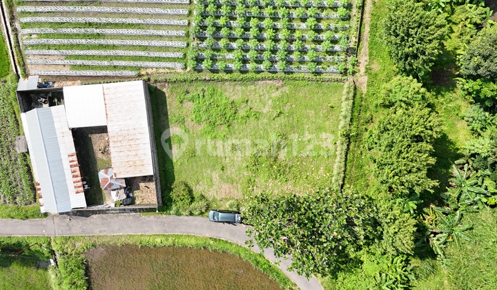 Tanah SHM Palagan Jogja, Ready for Deed of Sale, Scenic Environment, Near Rejodani Market