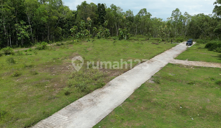 Kulonprogo, tanah 1 jutaan, Stasiun Wates 3 Km, Siap bangun