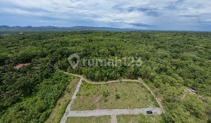 Murah Wates Jogja, 6 Km ke UNY wates. Akses jalan 2 mobil papasan, Siap bangun Murah Wates Jogja, 6 Km ke UNY wates. Akses jalan 2 mobil papasan, Siap bangun
