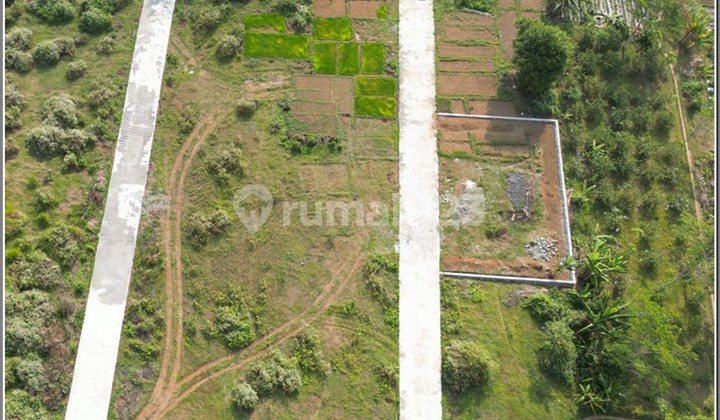 Tanah 500 m ke jalan Daendels, 15 menit Ke Bandara YIA SHM Pekarangan siap AJB