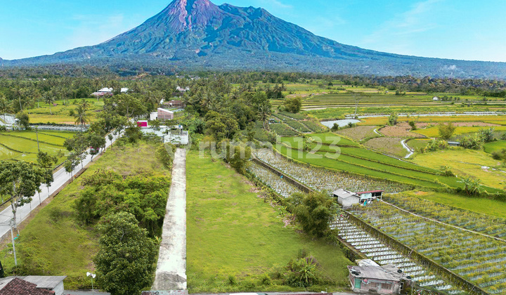 Outskirts of Jogja City, 7 minutes from Palbapang Toll Exit, by the asphalt road.