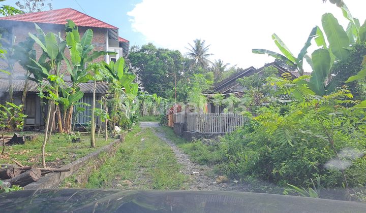 Tanah Murah Jogja 1 Km ke Univ Mercu Buana ,Sedayu, Siap AJB