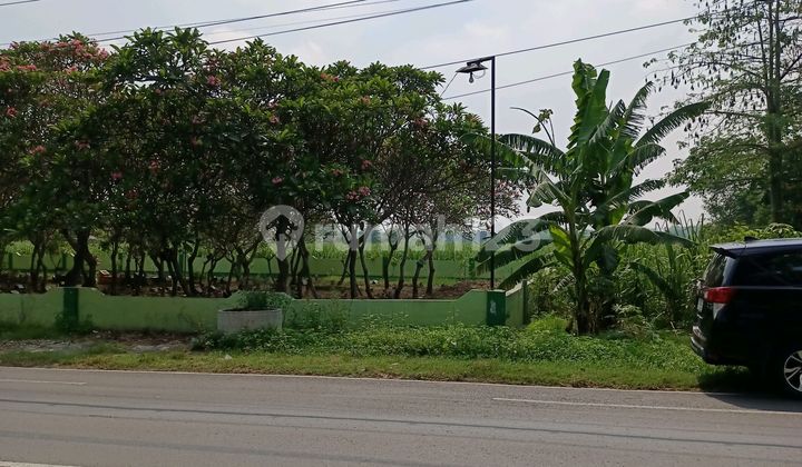 Land for Agriculture or Settlement Land for Agriculture or Settlement