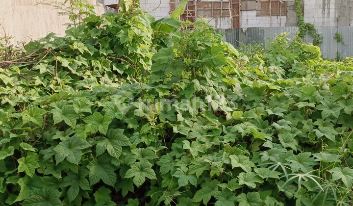 Strategic Land for Homes in Wiyung