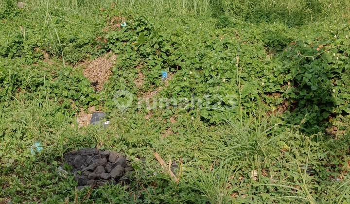 Strategic Wiyung House Land Location