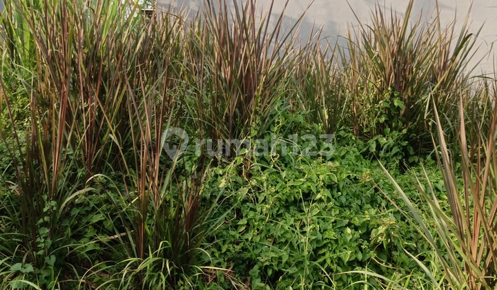 Residential Land Strategic Location In Wiyung