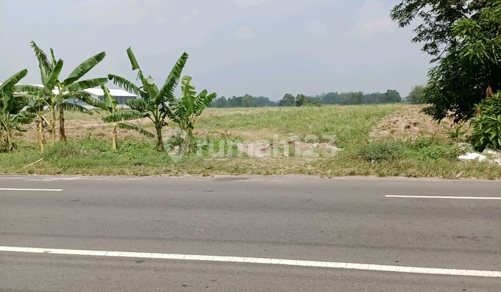 Tanah Lokasi Industri Ato Gudang