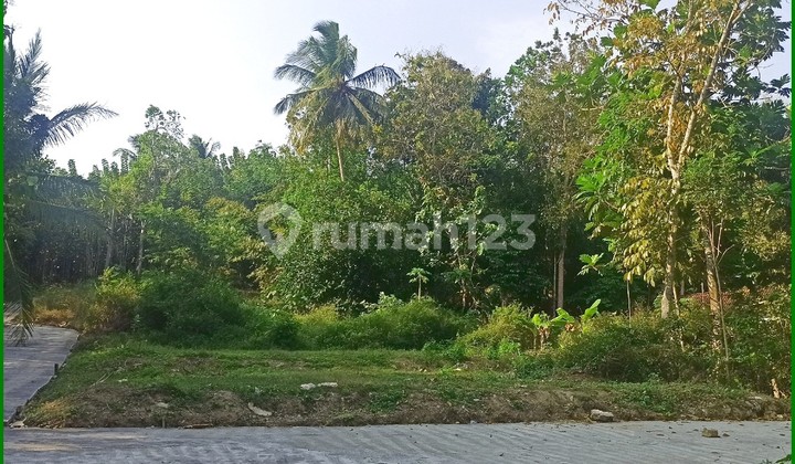 Jl. Gotakan Kulon Progo, Tanah Dekat Pintu Tol Wates-Jogja Jl. Gotakan Kulon Progo, Tanah Dekat Pintu Tol Wates-Jogja