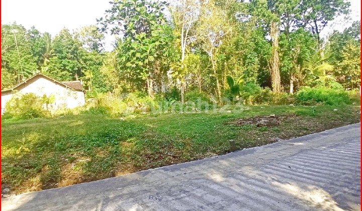 Jl. Gotakan Kulon Progo, Tanah Jogja Dekat Alun-alun Wates Jl. Gotakan Kulon Progo, Tanah Jogja Dekat Alun-alun Wates