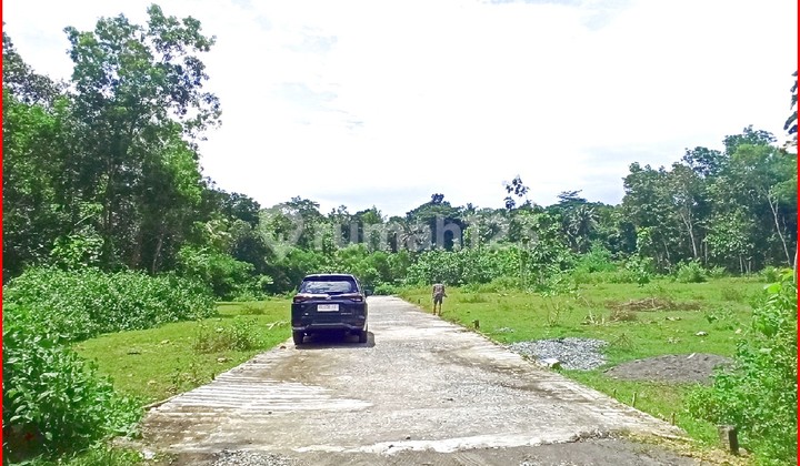 Gotakan Street, Kulon Progo, Yogyakarta Land Near YIA Airport